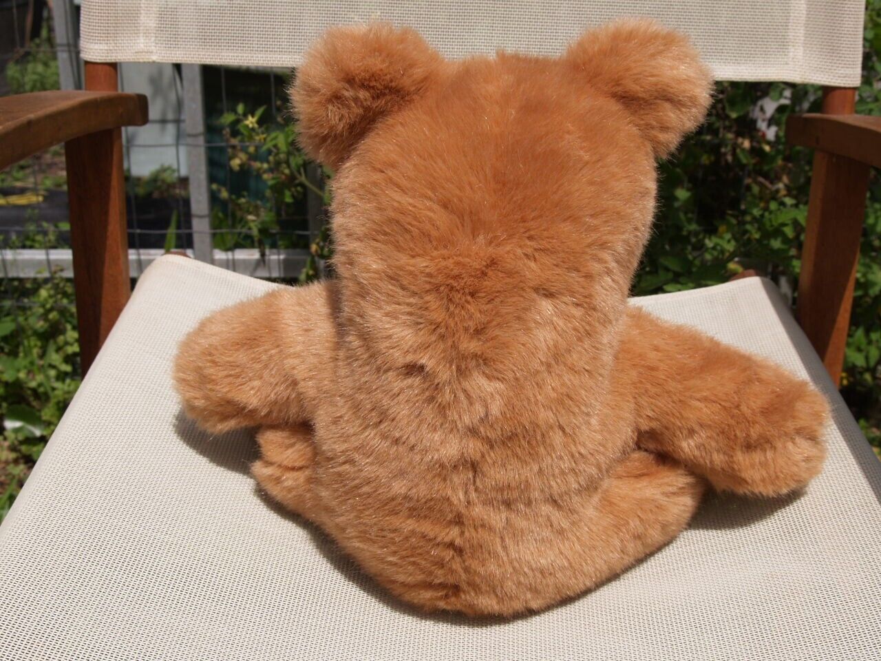 Bild 8 von 12