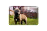 Blechschild Spruch 18X12 Cm Hunde Sind Gottes EntschäDigung Deko Schild
