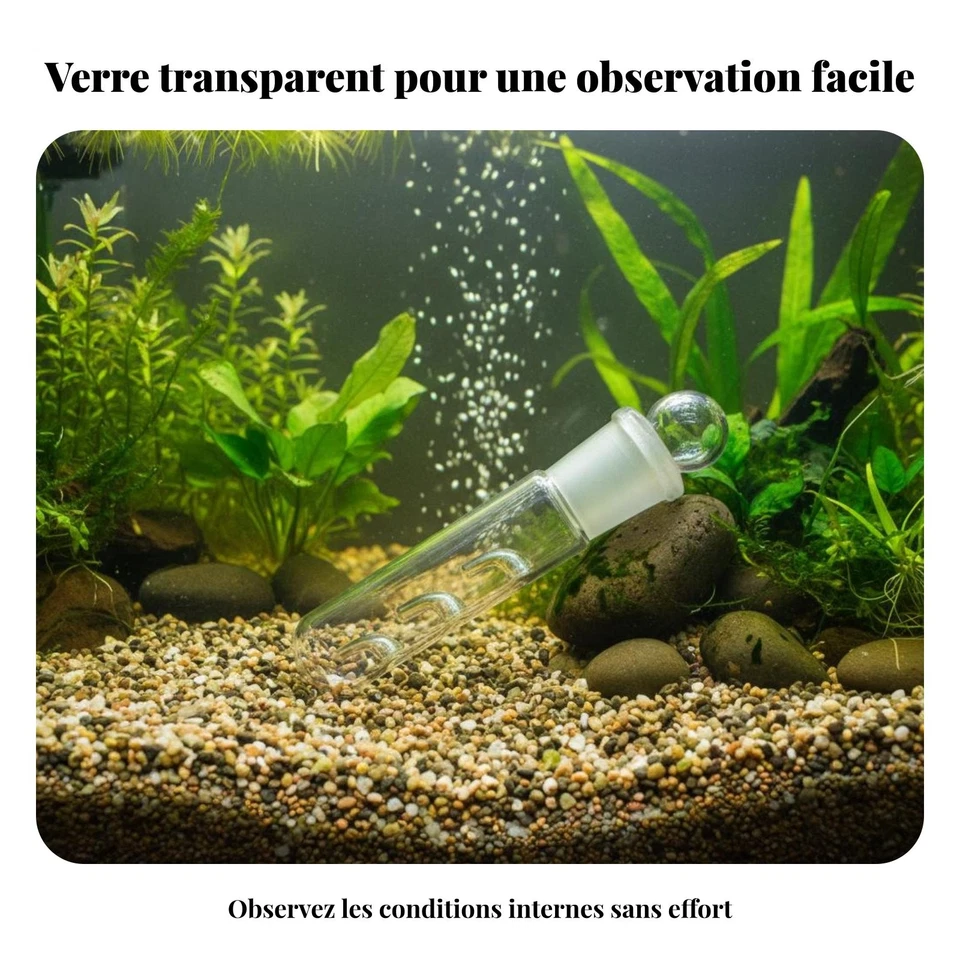 Piège à Planaires Sans Produits Chimiques Attrape D'aquarium - Photo 4/4