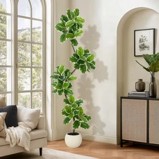 Fiddle Leaf Fig Tree Artificial Indoor, 7 ft Tall Faux Rubber Tree with Spher...