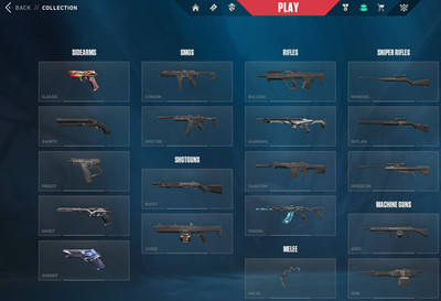 Eu Valorant Account