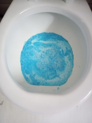 Lightweight 14 oz Foaming Toilet Cleaner - Minimal Scrubbing, Maximum Freshness