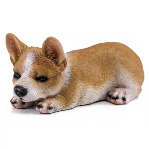 sleepy corgi
