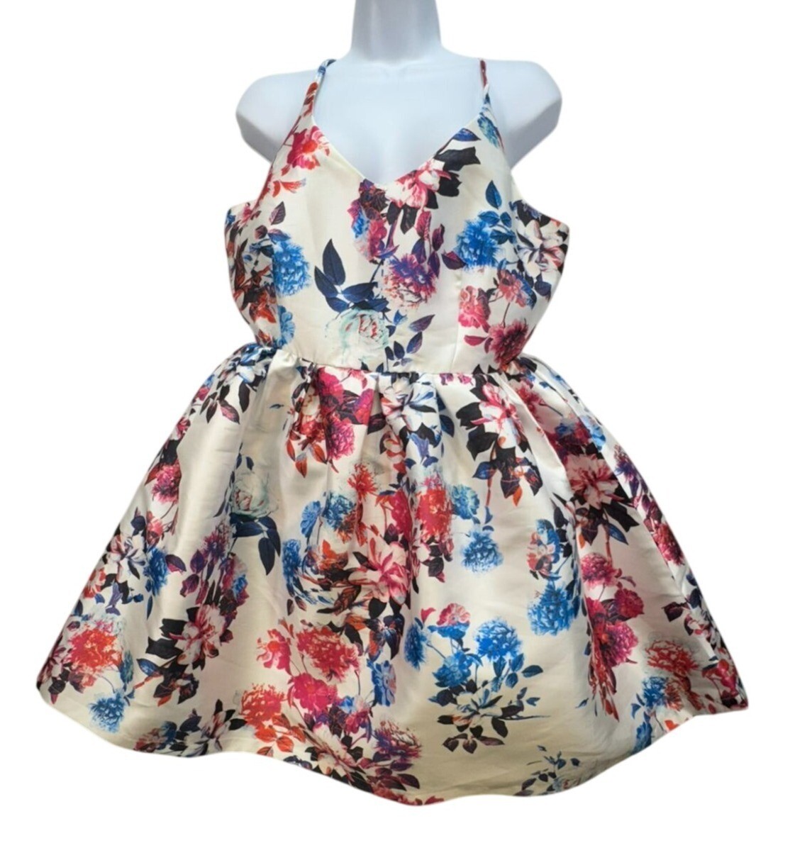 Akira Chicago Black Label Floral Sleeveless Dress V-Neckline & Cross Back  Straps | eBay