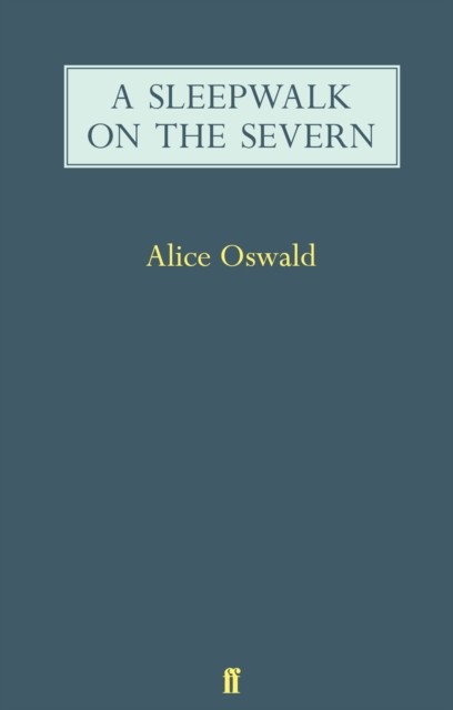 A Sleepwalk on the Severn - Image 6