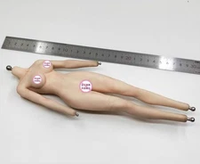 VeryCool DZS-003 1/6 Scale Dou Zhan Shen - RAKSA Flexible Body Large Bust