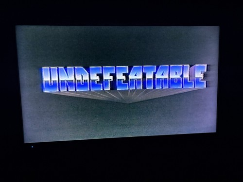 Undefeatable (VHS, 1994) Cynthia Rothrock *PLAY TESTED - Picture 11 of 12