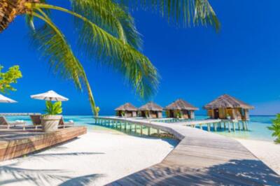 Wandbild: Luxury Resort Water Villas Palmbaumblätter über weißem Sand, in [...]