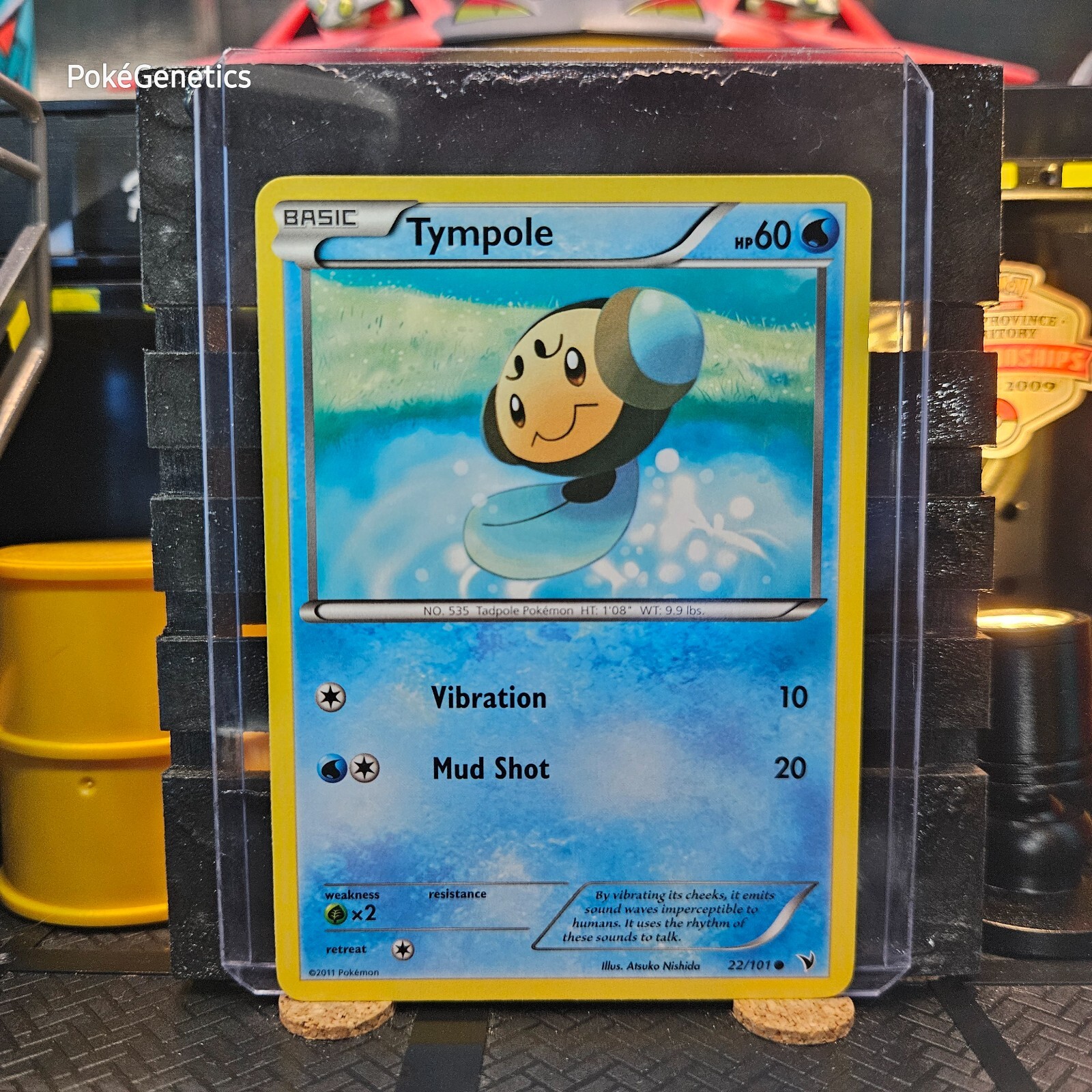 Tympole Noble Victories Pokémon TCG 22/101 Black & White 3 Common