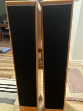 Viesnna Acoustic Floor Standing Speakers for Home