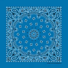 Carolina Creative Bandanna (Mirage Blue) Paisley Print 22" x 22" Hav-A-Hank