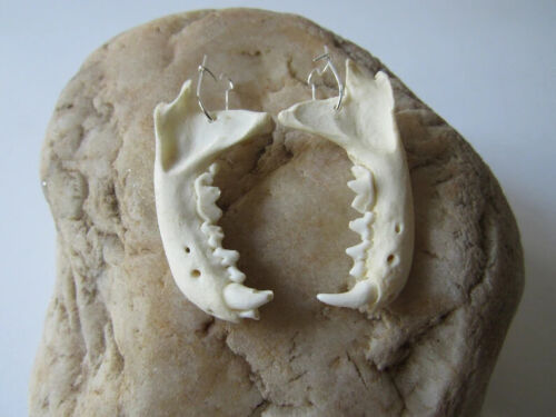 Mink Jawbone Earrings Spirit Jewelry Animal Bone Teeth Jewelry SP - Picture 1 of 2