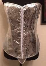 Metallic Silver 2pc Corset Bustier Shapewear G String Panties Lingerie Plus 4X