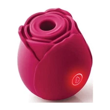 Rose Shaped Mini Massager for Women Hot Joy Night Joy at Meeting