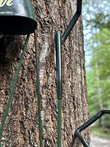 VTG Bear Archery Quiver 8 Arrow Capacity Green Hunting Vintage SEE INFO PICS - Imagen 18 de 19