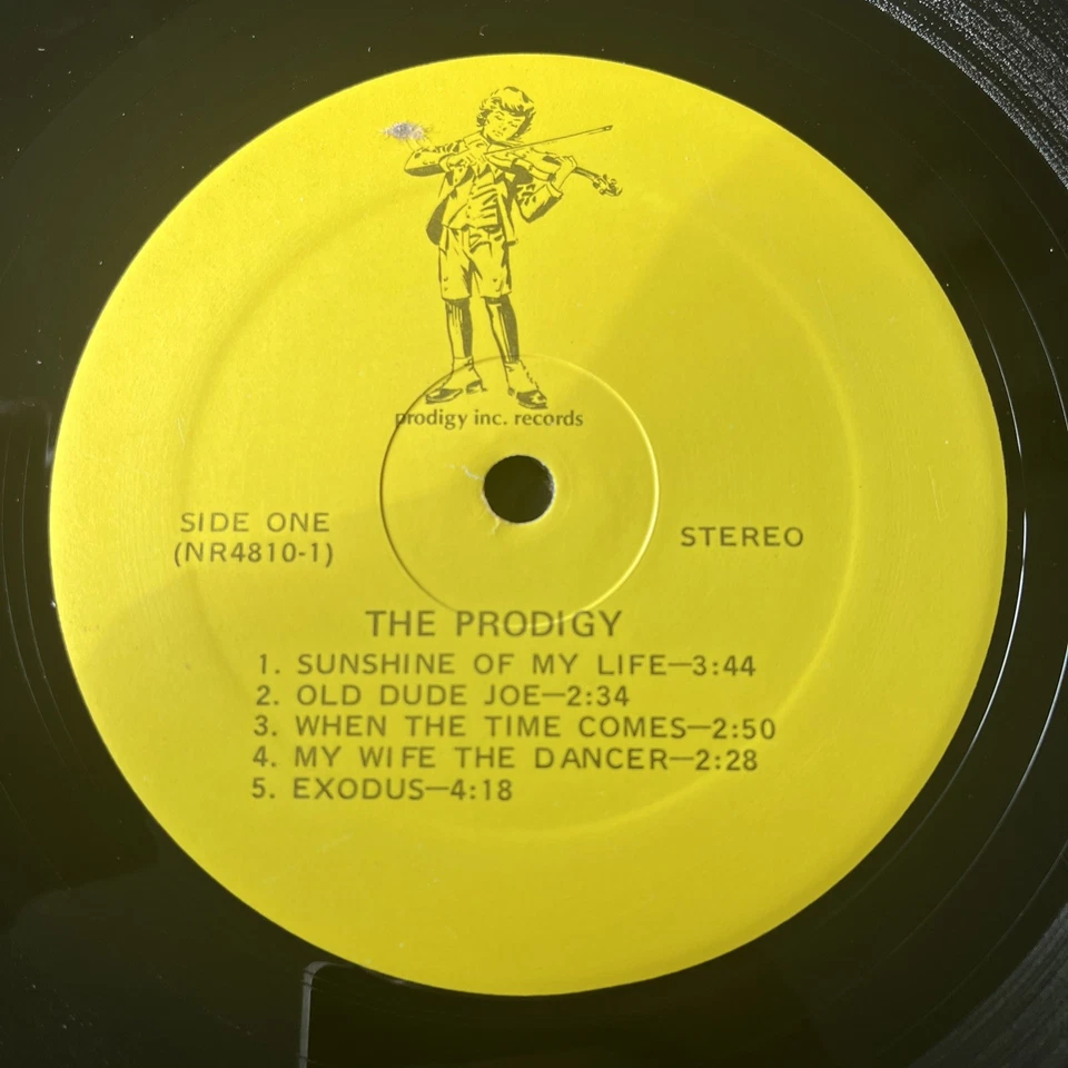 The Prodigy “Climbing The Sky” Vinyl Record LP Vintage/Rare Find! - Image 3 of 4