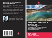 DestruiçãO De Cianeto E ArséNio Por EletrocoagulaçãO Victor Vazquez (U. A.) Buch