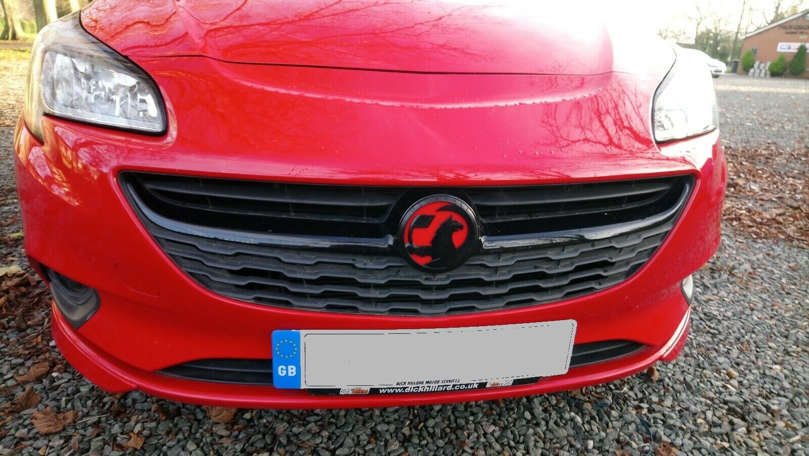 Corsa E Griffin emblem, black badge coloured base 130mm insignia adam