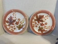 Rare Vintage National Home Products Artisan Ware Melamine Fall Leaves 10” Plates