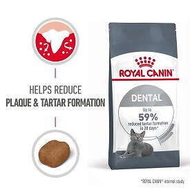 Royal Canin Dental Care Dry Adult Cat Food UK