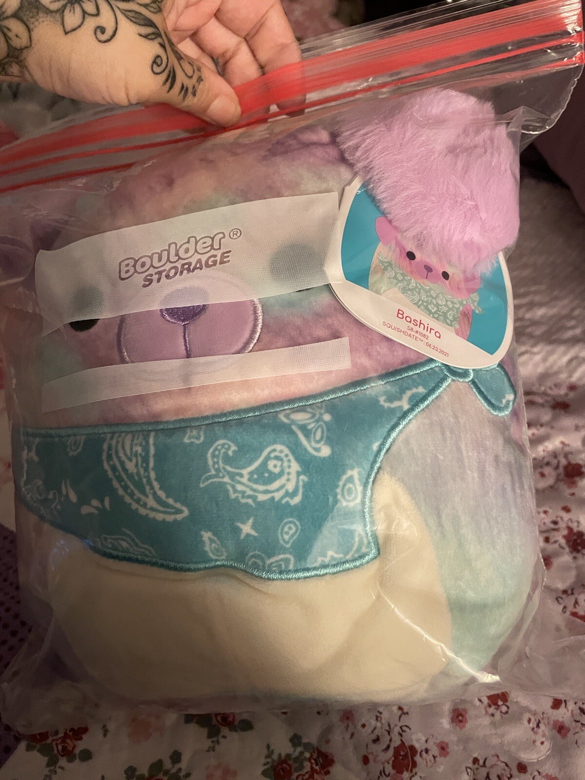 Squishmallow Bashira the Bandana Dog 8” Plush KellyToy NWT eBay