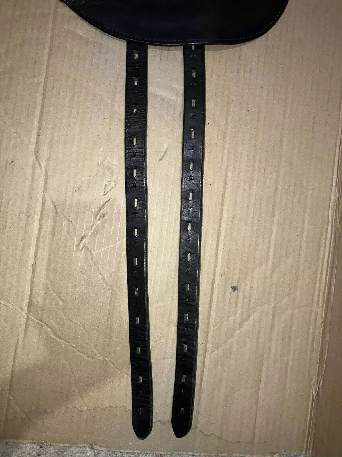 Picture 3 of 15