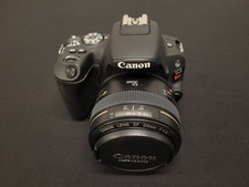 Canon EOS Rebel SL2 24MP DSLR Camera  EF 50mm f1.4 USM Lens - FAST SHIPPING
