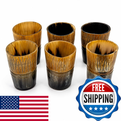Thor Instruments Medieval Handcrafted Viking Drinking Horn Mug Beer Glasses
