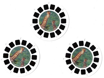3 View-Master Stereo 3D Reels   K3533, Safari, Look Learn,National Wildlife Fed.