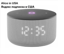 Yandex station mini 3 gray.                   3. Alice in USA.