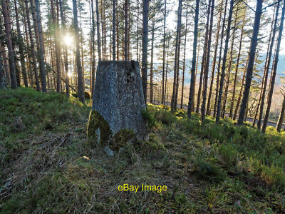 Photo 6x4 Trig Point - Clune Wood Dores Loch Ness barely visible through  c2016