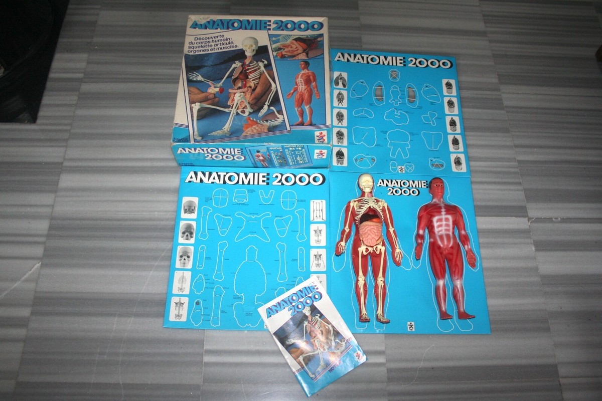 Coffret Anatomie 2000 - Corps Humain Articulé Avec Squelette Et Organes - Occasion