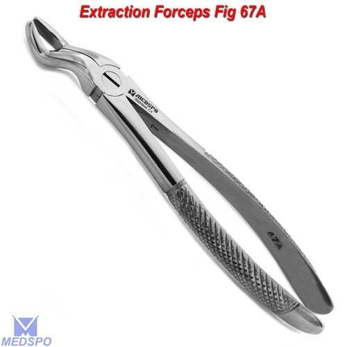Incisivos de extracción dental pinzas de raíz instrumentos quirúrgicos de extracción CE - Imagen 9 de 10