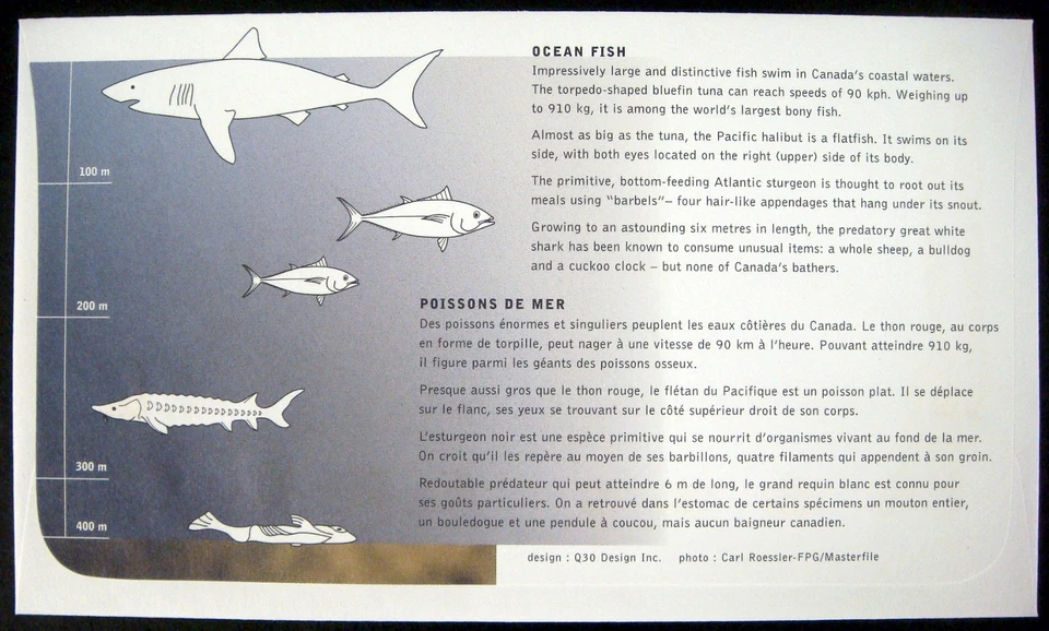 CANADA PACIFIC 97 OCEAN FISH FDC PRESENTATION PACK STAMPS MARINE LIFE SHARK TUNA - Image 4 of 4
