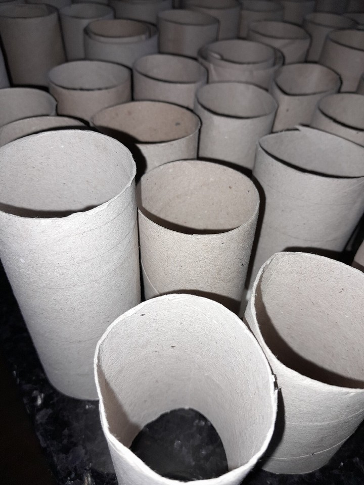 100 Empty Cardboard Toilet Roll Tubes&Variable Tubing Sizes Craft Art