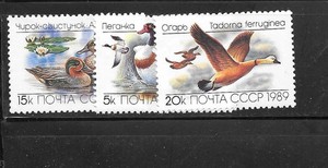 RUSSIA USSR SC#5783-5 1989 DUCKS MNH XF OLD TOPICAL COMMEMORATIVE STAMP SET