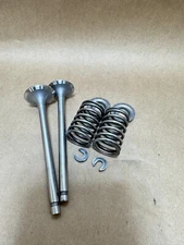 Wisconsin Robin Valves 207-33401-13, 207-33501-13 & Valve Springs  206-33601-03