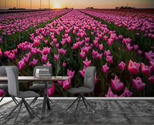 3D Tulip Flower Bed Sunset Nature Wallpaper Wall Murals Removable Wallpaper