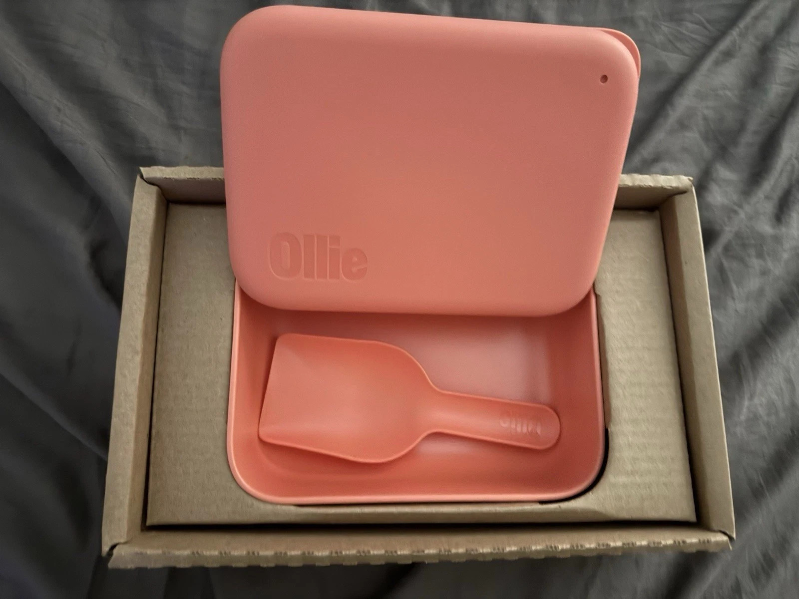 Storage Container With Scoop 8" L X 6" W Silicone