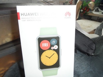 HUAWEI Watch Fit New TIA-B09 Graphite Black mit Silikonarmband Schwarz