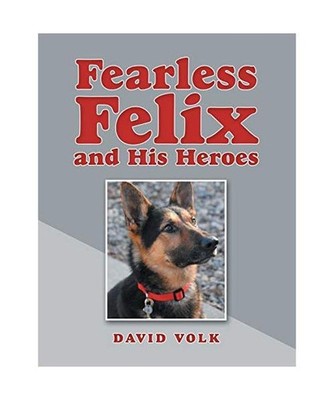 Fearless Felix and His Heroes, David Volk