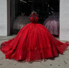 Princess Red Quinceanera Dresses with Court Train Ball Gowns Sweet 15 16