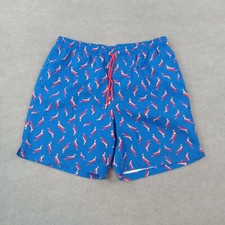 Lands' End Swim Trunks Mens Large Blue Drawstring Elastic Waist Mesh Lined Birds