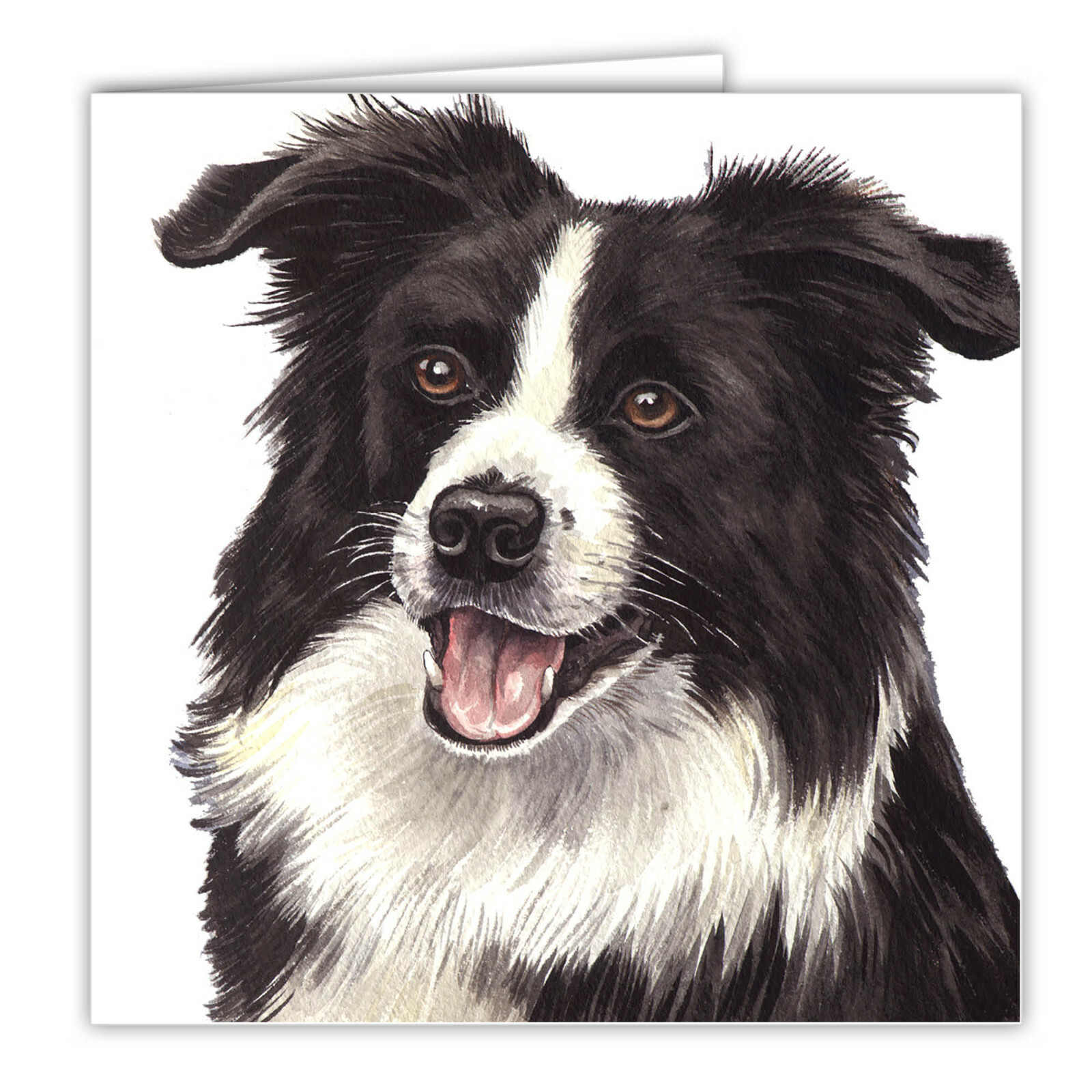 Border Collie greetings card dog blank card dogs Border Collies Sheepdog art