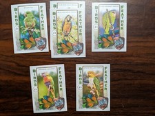 2021 Allen & Ginter - Birds of a Feather