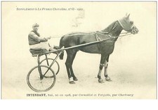 Hippismus N°35970 Intendant Bai 1912 Pferde Sulky Supplement Zu Frankreich Che