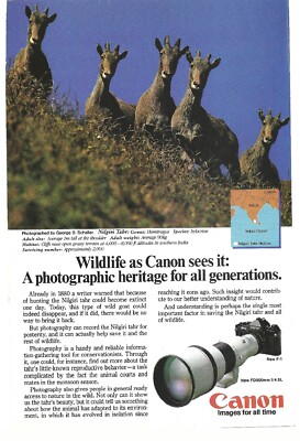 1982 Canon F1 Camera Vintage Color Print Ad Giraffe Wildlife