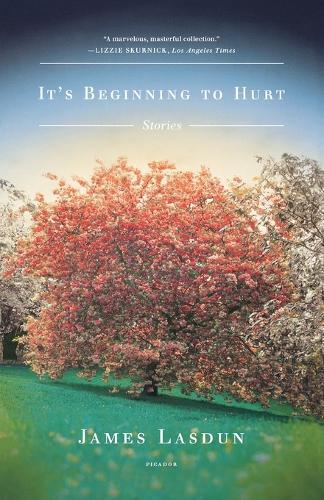 Thumbnail - James Lasdun It's Beginning To Hurt (taschenbuch) (us Import)