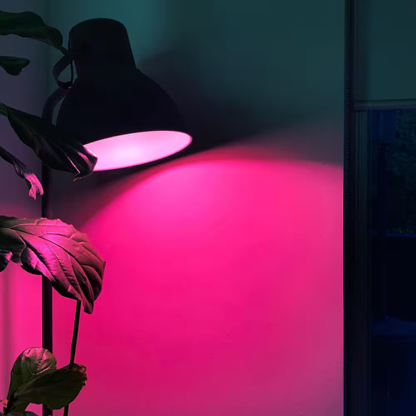 Alternate view of 100-watt Equivalent A21 Multi-color 9000k Wi-fi Led Light Bulb Works W/alexa/hey