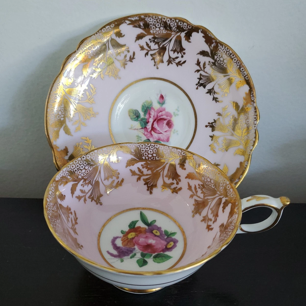 25+ Paragon Elizabeth Rose for sale | Updated Oct 2026